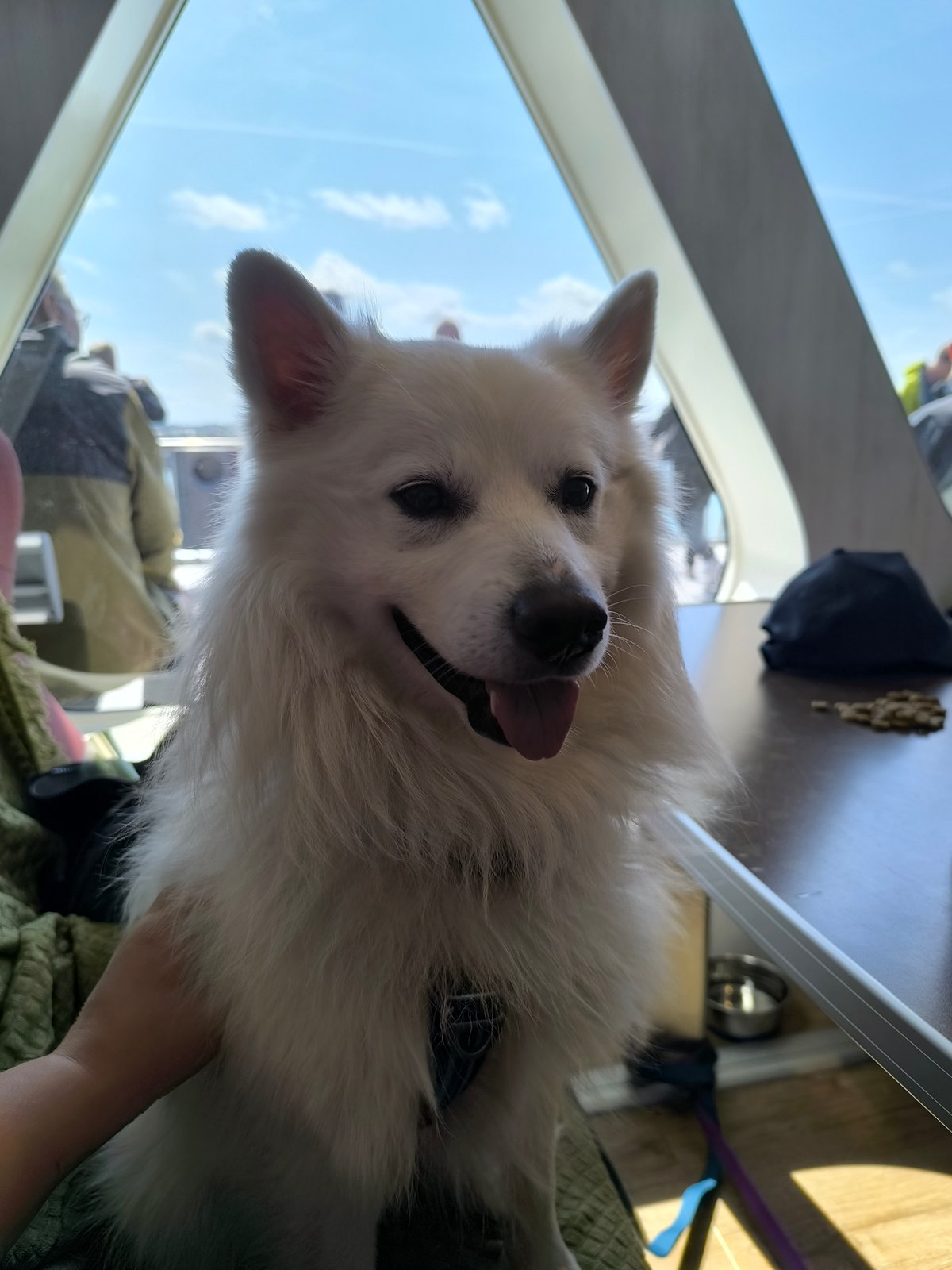 Foto af Ellie